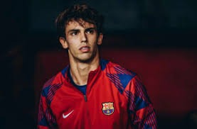 [全运会]王欣瑜晋级网球女单四强