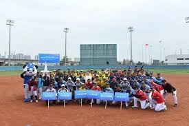 saas-internal-structure